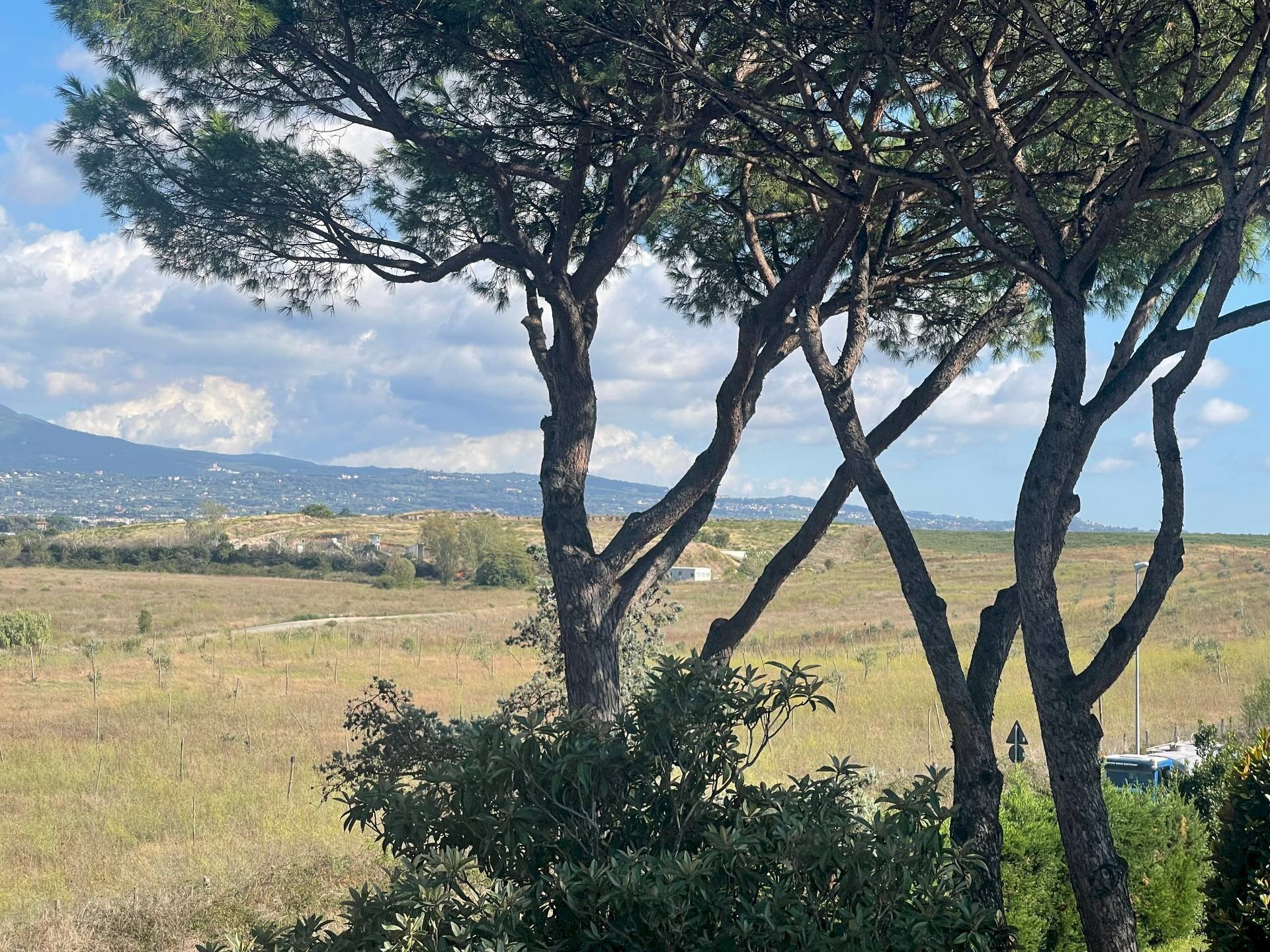 Foto 3 - Appartamento Via Tito Poggi
 
9, Roma - foto 3