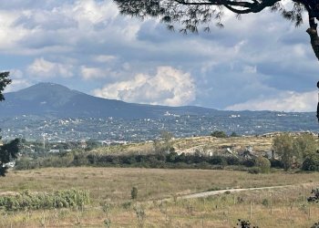 Foto 6 - Appartamento Via Tito Poggi
 
9, Roma - foto 6