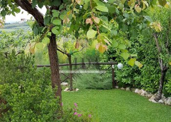 Foto 118 - Villa via Patellara, Controguerra - photo 118