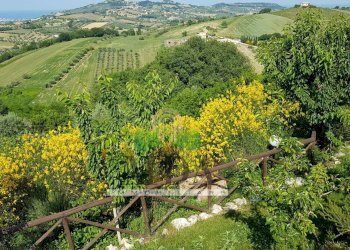 Foto 119 - Villa via Patellara, Controguerra - photo 119