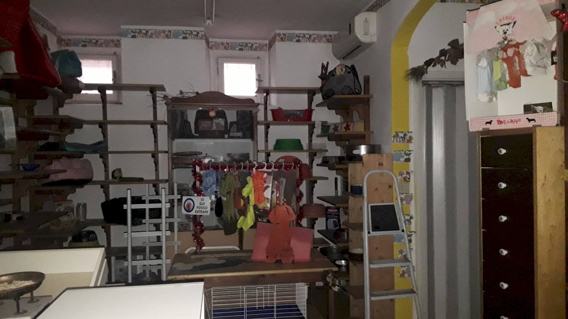 Foto 2 - Locale Commerciale Via Spaventa, Chieti - foto 2