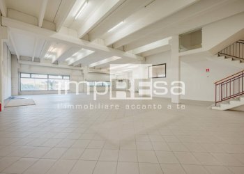 spazi piano terra - Locale Commerciale via botticelli, Mogliano Veneto - foto 6