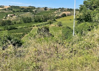 Foto 10 - Rustico Castellaretta, Staffolo - foto 10