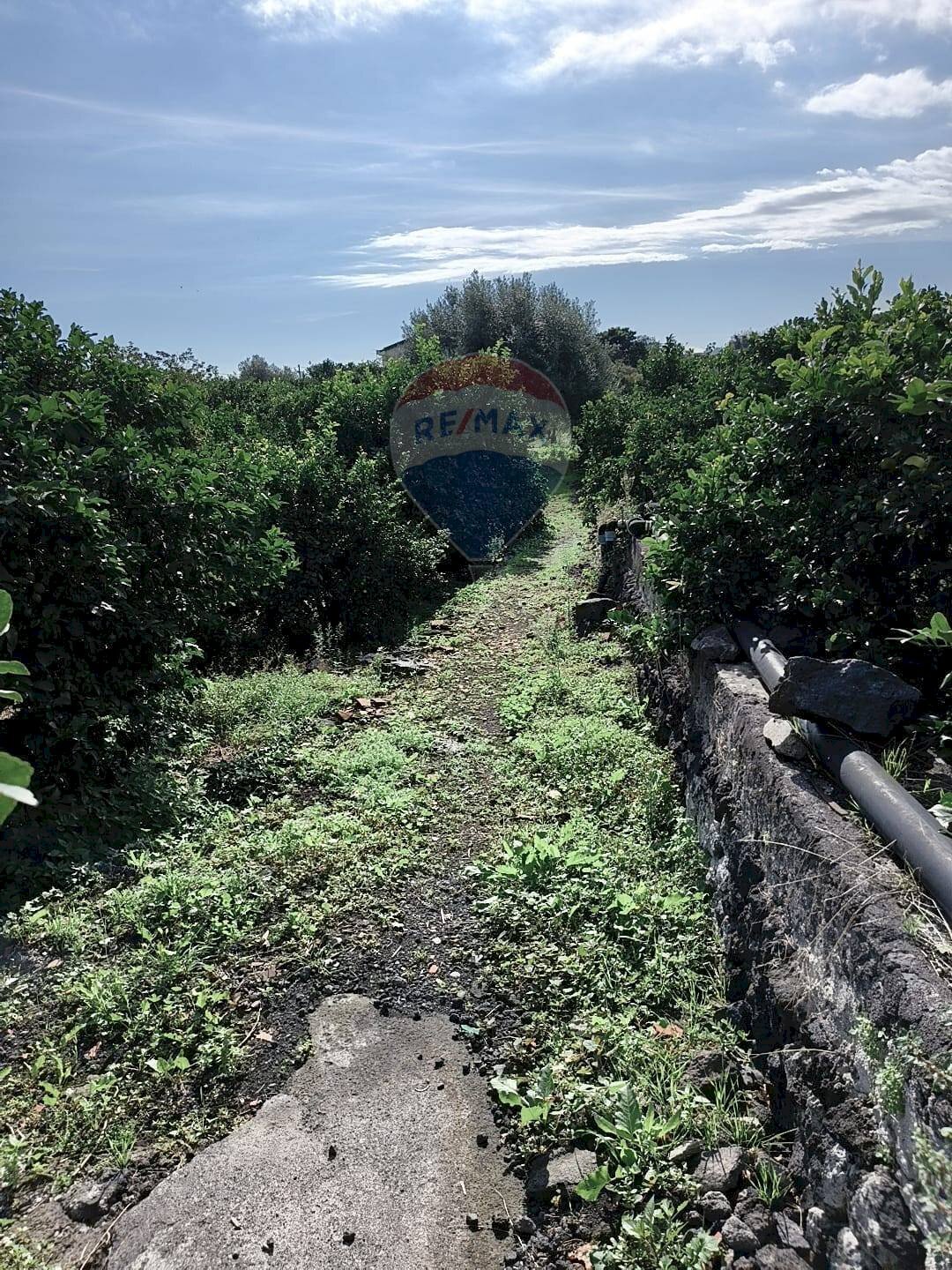 Giardino - Terreno edificabile Via Della Rinascita, Acireale - foto 2