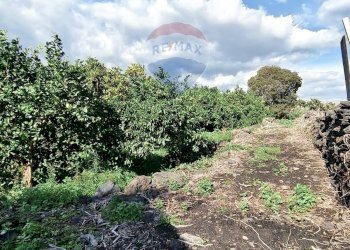 Giardino - Terreno edificabile Via Della Rinascita, Acireale - foto 5