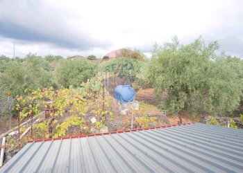 Terrazza - Casa indipendente via contrada edere
 
sn, Belpasso - foto 18