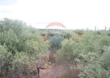 Non correlato - Casa indipendente via contrada edere
 
sn, Belpasso - foto 20