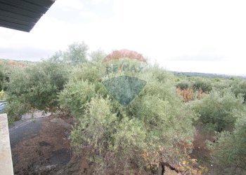 Non correlato - Casa indipendente via contrada edere
 
sn, Belpasso - foto 21