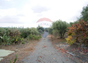 Giardino - Casa indipendente via contrada edere
 
sn, Belpasso - foto 24