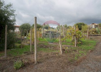 Giardino - Casa indipendente via contrada edere
 
sn, Belpasso - foto 28