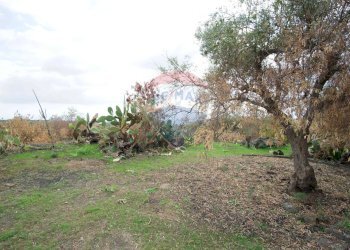Giardino - Casa indipendente via contrada edere
 
sn, Belpasso - foto 29