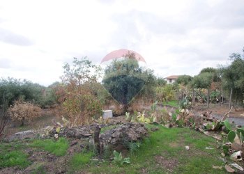 Giardino - Casa indipendente via contrada edere
 
sn, Belpasso - foto 30