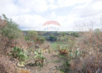 Vista delle montagne - Casa indipendente via contrada edere
 
sn, Belpasso - foto 31