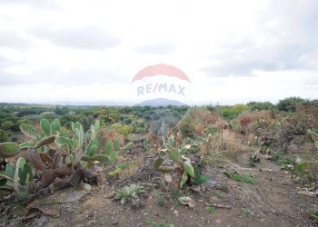 Giardino - Casa indipendente via contrada edere
 
sn, Belpasso - foto 32