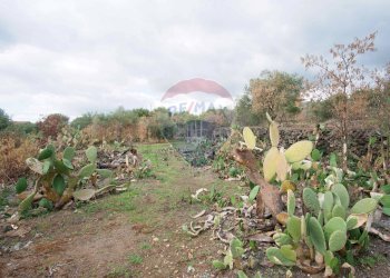 Giardino - Casa indipendente via contrada edere
 
sn, Belpasso - foto 33