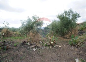 Giardino - Casa indipendente via contrada edere
 
sn, Belpasso - foto 34