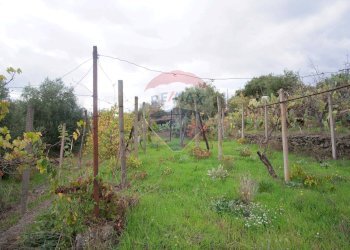 Giardino - Casa indipendente via contrada edere
 
sn, Belpasso - foto 36