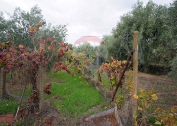 Giardino - Casa indipendente via contrada edere
 
sn, Belpasso - foto 37