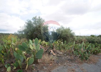 Giardino - Casa indipendente via contrada edere
 
sn, Belpasso - foto 38