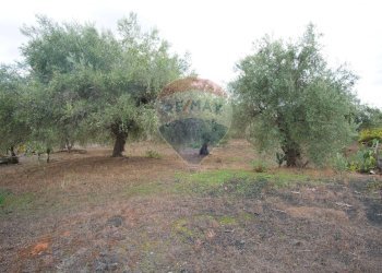 Giardino - Casa indipendente via contrada edere
 
sn, Belpasso - foto 40