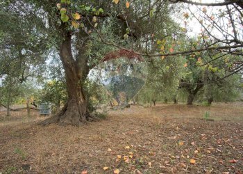 Giardino - Casa indipendente via contrada edere
 
sn, Belpasso - foto 41