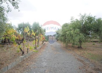 Giardino - Casa indipendente via contrada edere
 
sn, Belpasso - foto 43