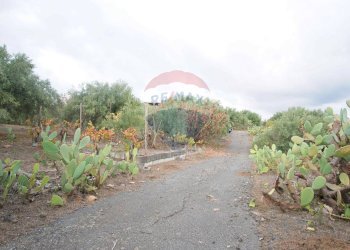 Giardino - Casa indipendente via contrada edere
 
sn, Belpasso - foto 44