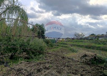 Giardino - Agricultural land via Carone
 
46, Sant'Alfio - photo 6