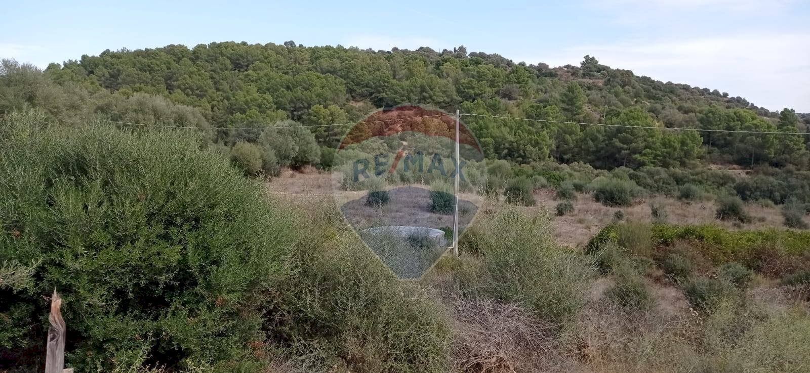 Vista delle montagne - Terreno agricolo C/DA SPINA SANTA  (SANTO PIETRO)
 
SN, Caltagirone - foto 1