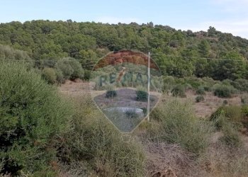 Vista delle montagne - Terreno agricolo C/DA SPINA SANTA  (SANTO PIETRO)
 
SN, Caltagirone - foto 1