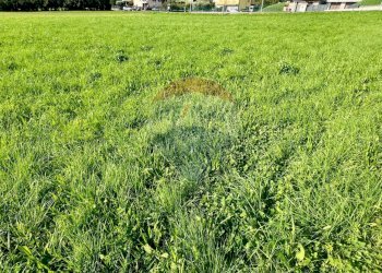 Giardino - Terreno edificabile Sovere - foto 7