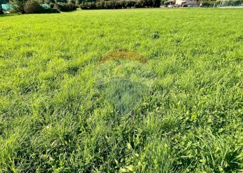 Giardino - Terreno edificabile Sovere - foto 10