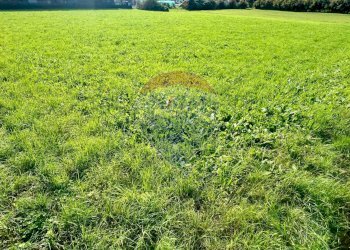 Giardino - Terreno edificabile Sovere - foto 11