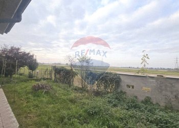 Giardino - Casa semi indipendente Via Arturo Toscanini
 
64, Sannazzaro de' Burgondi - foto 25