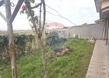 Giardino - Casa semi indipendente Via Arturo Toscanini
 
64, Sannazzaro de' Burgondi - foto 26