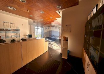 Cucina - Ufficio Apice - foto 5