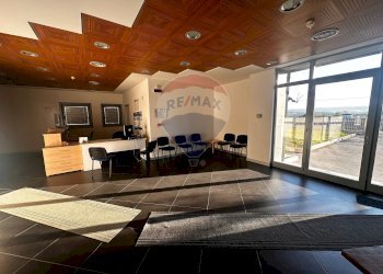 Cucina - Ufficio Apice - foto 6