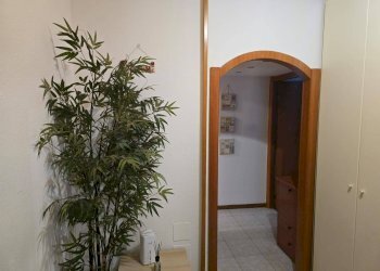 Foto 11 - Terreno non edificabile Via Degli Abeti
 
15, Milano - foto 10