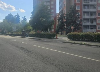 Foto 15 - Terreno non edificabile Via Degli Abeti
 
15, Milano - foto 14