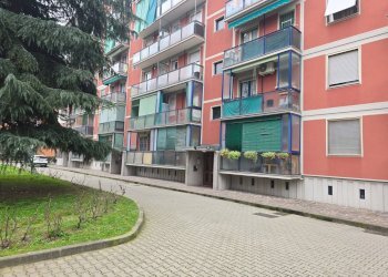 Foto 16 - Terreno non edificabile Via Degli Abeti
 
15, Milano - foto 15