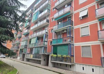 Foto 17 - Terreno non edificabile Via Degli Abeti
 
15, Milano - foto 16