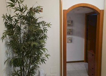 Foto 22 - Terreno non edificabile Via Degli Abeti
 
15, Milano - foto 21