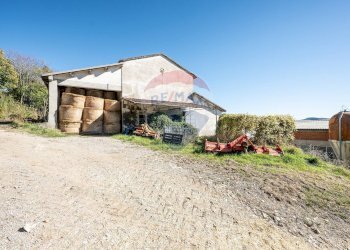 Casa all\'aperto - Farm Strada Della Posta
3/A, Neviano degli Arduini - photo 13