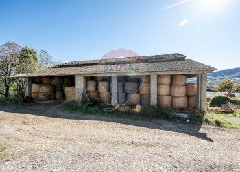 Casa all\'aperto - Farm Strada Della Posta
3/A, Neviano degli Arduini - photo 15