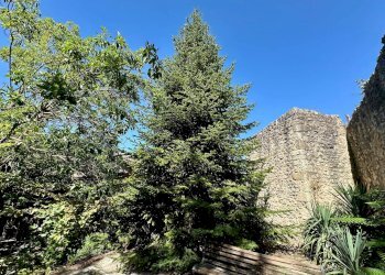 Foto 18 - Rustic Via Madonna del Ponte
 
snc, L'Aquila - photo 18