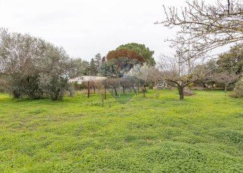 Giardino - Villa C.da Gerardo
 
75 C, Chiaramonte Gulfi - foto 29