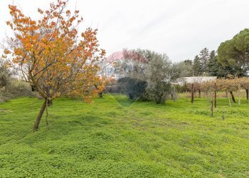 Giardino - Villa C.da Gerardo
 
75 C, Chiaramonte Gulfi - foto 30