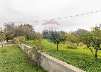 Giardino - Villa C.da Gerardo
 
75 C, Chiaramonte Gulfi - foto 57