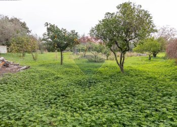Giardino - Villa C.da Gerardo
 
75 C, Chiaramonte Gulfi - foto 58