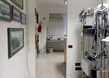 Foto 6 - Office via tegulaia
 
32, Pisa - photo 6